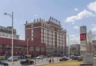 西藏前额两侧脱发