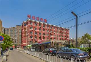 锡山区消杀白蚁电话